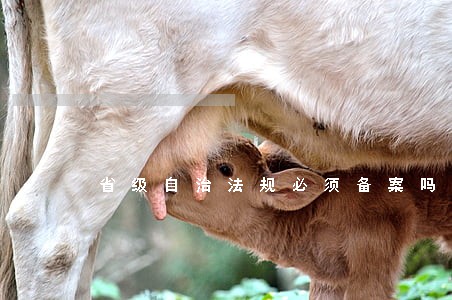 省级自治法规必须备案吗