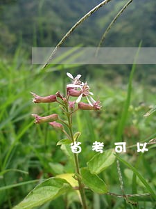 省考可以考法院或是检察院吗吗 省考可以考法院或是检察院吗吗