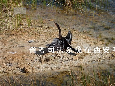 省考司法系统在西安考吗