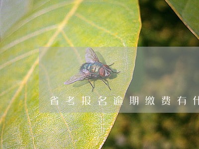 省考报名逾期缴费有什么补救方法 省考报名逾期缴费有什么补救方法