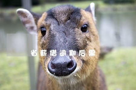 省薪借逾期后果 省薪借逾期后果
