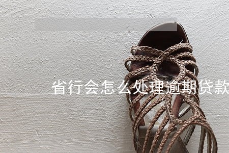 省行会怎么处理逾期贷款 省行会怎么处理逾期贷款