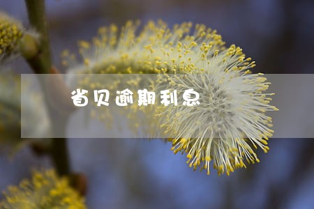 省贝逾期利息