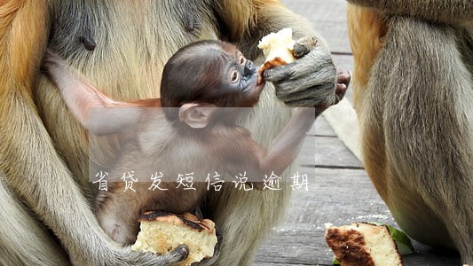 省贷发短信说逾期