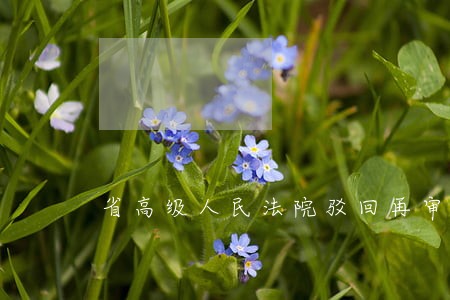省高级人民法院驳回再审申请后怎么办 省高级人民法院驳回再审申请后怎么办