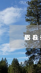 眉县法院庭审直播 眉县法院庭审直播