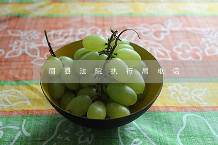 眉县法院执行局电话 眉县法院执行局电话