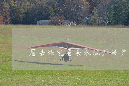 眉县法院眉县水泥厂破产公告