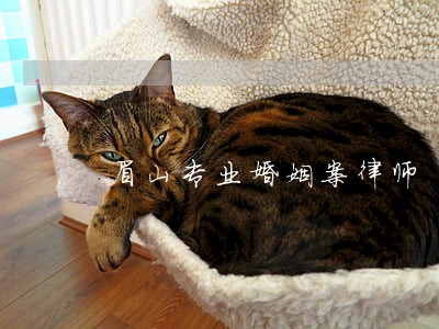 眉山专业婚姻案律师 眉山专业婚姻案律师