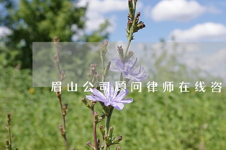 眉山公司顾问律师在线咨询 眉山公司顾问律师在线咨询