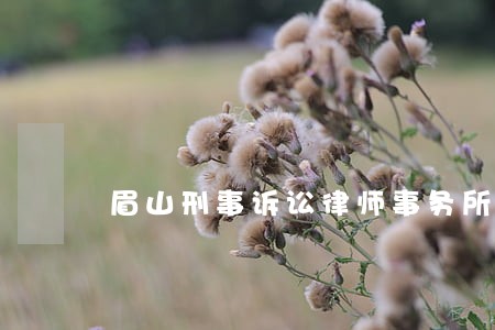 眉山刑事诉讼律师事务所 眉山刑事诉讼律师事务所