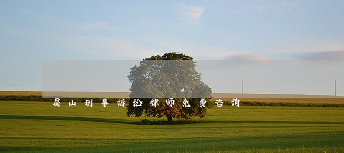 眉山刑事诉讼律师免费咨询
