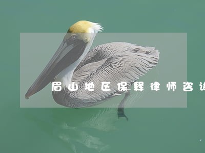 眉山地区保释律师咨询