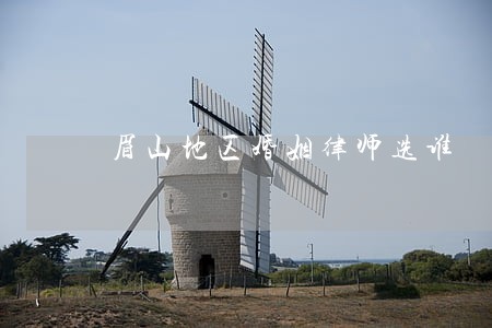 眉山地区婚姻律师选谁 眉山地区婚姻律师选谁