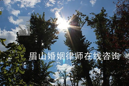 眉山婚姻律师在线咨询 眉山婚姻律师在线咨询