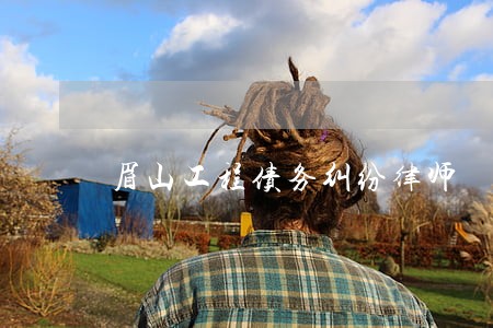 眉山工程债务纠纷律师 眉山工程债务纠纷律师