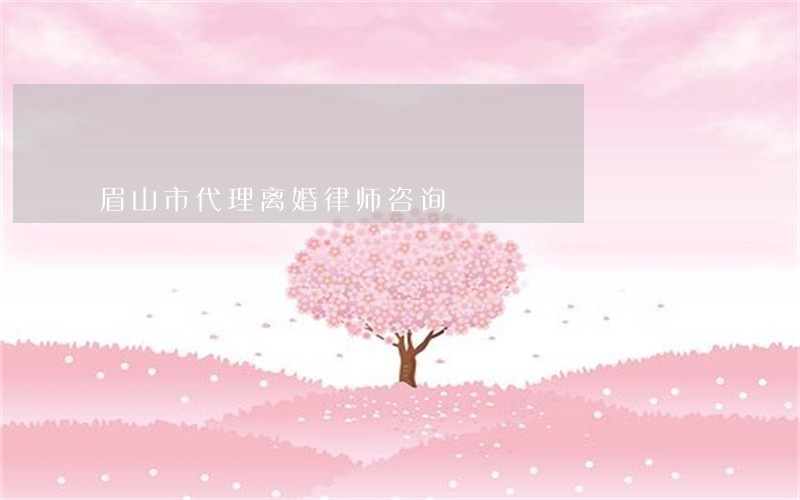 眉山市代理离婚律师咨询 眉山市代理离婚律师咨询