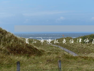 眉山市侵权责任律师在线解答