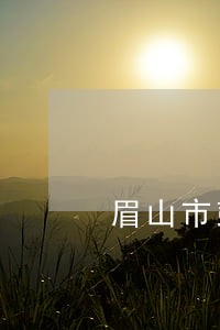 眉山市彭山区人民法院公开网 眉山市彭山区人民法院公开网