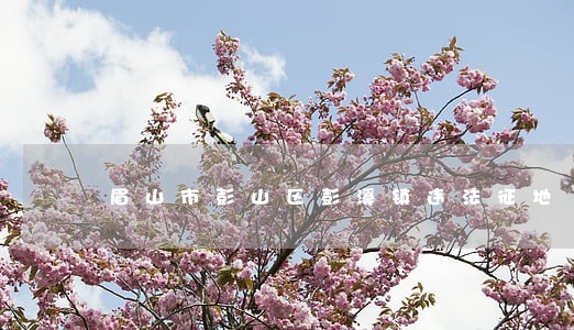 眉山市彭山区彭溪镇违法征地 眉山市彭山区彭溪镇违法征地