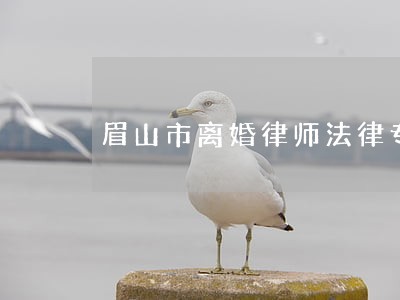 眉山市离婚律师法律专线
