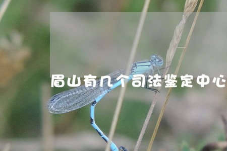眉山有几个司法鉴定中心 眉山有几个司法鉴定中心