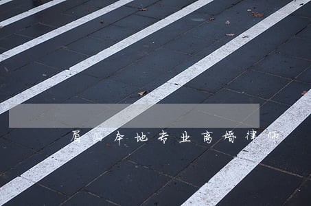 眉山本地专业离婚律师 眉山本地专业离婚律师