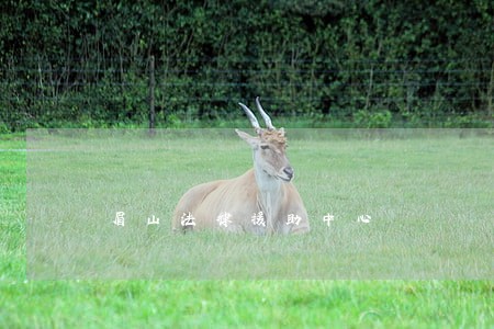 眉山法律援助中心 眉山法律援助中心