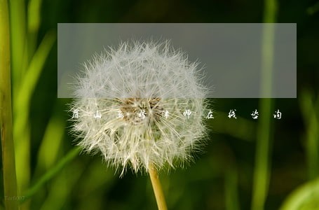 眉山离婚律师在线咨询 眉山离婚律师在线咨询