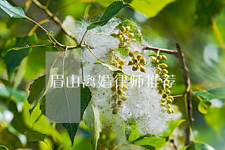 眉山离婚律师推荐 眉山离婚律师推荐