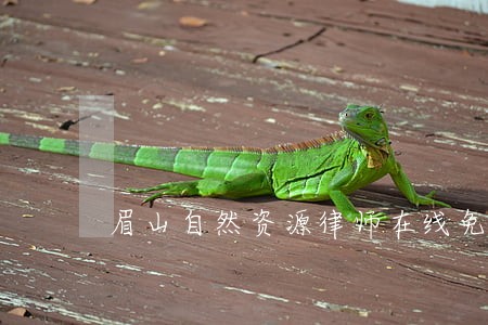 眉山自然资源律师在线免费咨询 眉山自然资源律师在线免费咨询