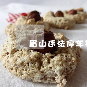 眉山违法停车罚款多少钱 眉山违法停车罚款多少钱