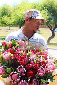 看不懂信用逾期申诉回复函 看不懂信用逾期申诉回复函