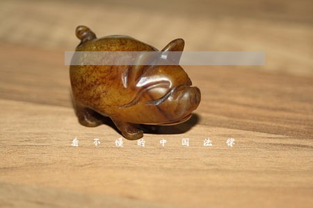 看不懂的中国法律 看不懂的中国法律