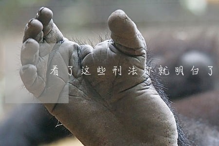 看了这些刑法你就明白了下载 看了这些刑法你就明白了下载
