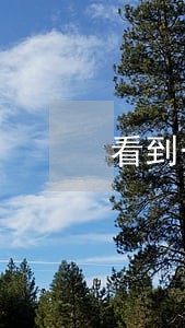看到一辆法院拍卖车 看到一辆法院拍卖车