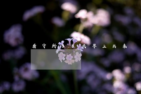 看守所38天早上出来