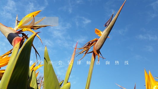 看守所会见律师咨询热线 看守所会见律师咨询热线