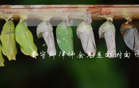看守所律师会见是面对面吗