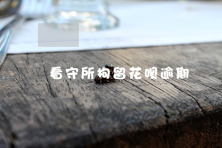 看守所拘留花呗逾期 看守所拘留花呗逾期