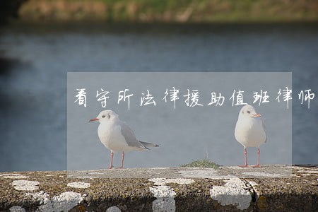 看守所法律援助值班律师工作总结 看守所法律援助值班律师工作总结