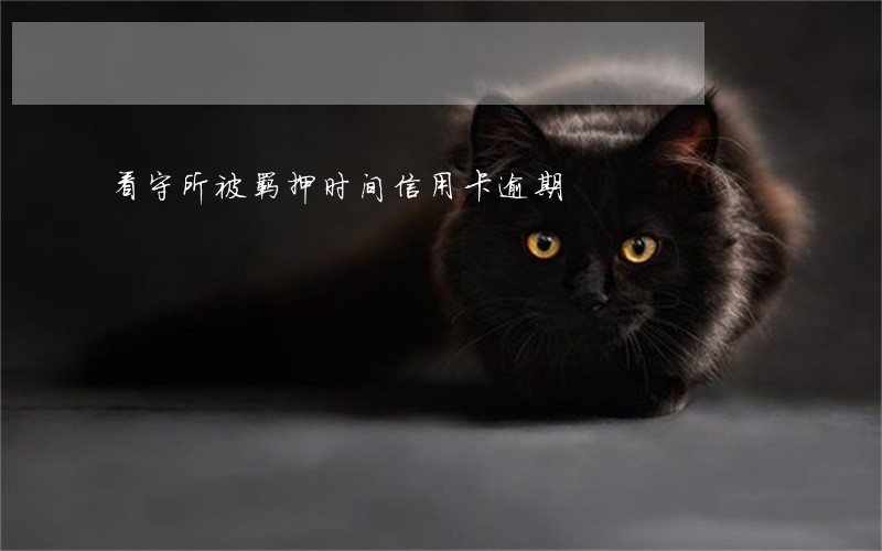 看守所被羁押时间信用卡逾期