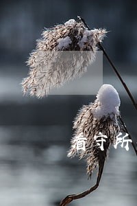 看守所车贷逾期一个月了怎么办 看守所车贷逾期一个月了怎么办