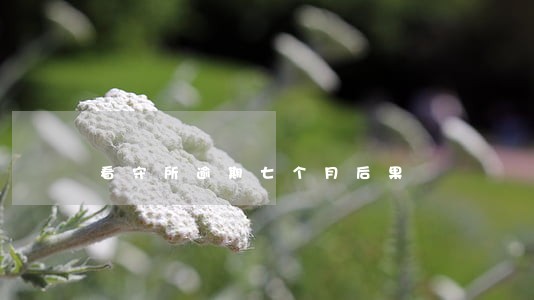 看守所逾期七个月后果 看守所逾期七个月后果