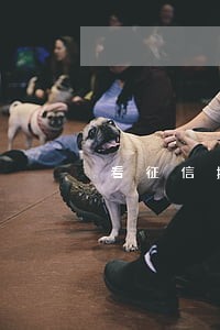 看征信报告有逾期