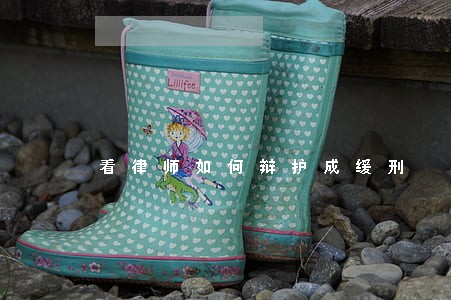 看律师如何辩护成缓刑 看律师如何辩护成缓刑