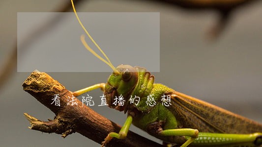 看法院直播的感想