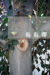 看看哪些违法大货车被曝光 看看哪些违法大货车被曝光