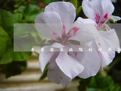 看看宿迁法院的诉源治理实践 看看宿迁法院的诉源治理实践