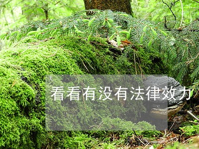 看看有没有法律效力 看看有没有法律效力